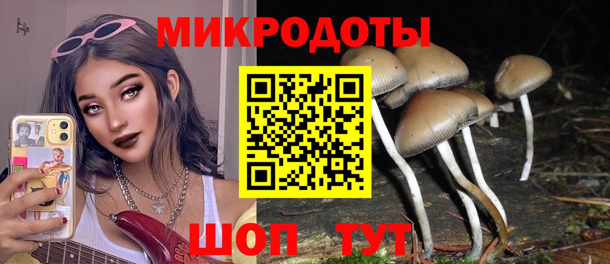 Верхняя Салда  где продают   Вход с VPN  Галлюциногенные грибы GOLDEN TEACHER 